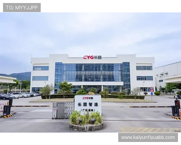 开云集团执委会成员的职责范围与工作重点，帮助投资者理解集团战略布局