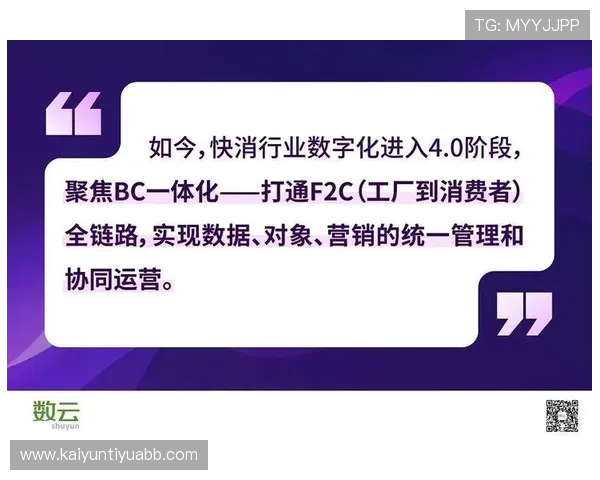 深度解析开云集团ZG在数字化转型中的关键举措与实践经验