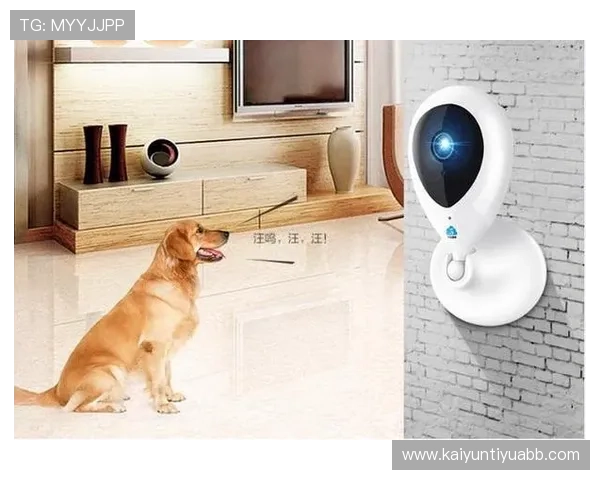 开云体育官方网页安全保障措施与用户隐私保护策略详解